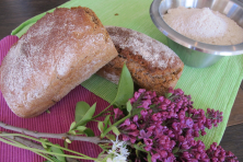 Bierbrauerbrot: Buuremehl (dunkel), Biertreber