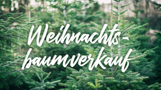 Weihnachtsbaumverkauf.jpg